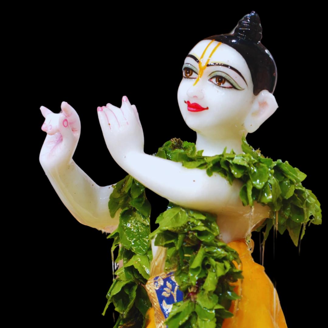 Tulsi Arpan Seva