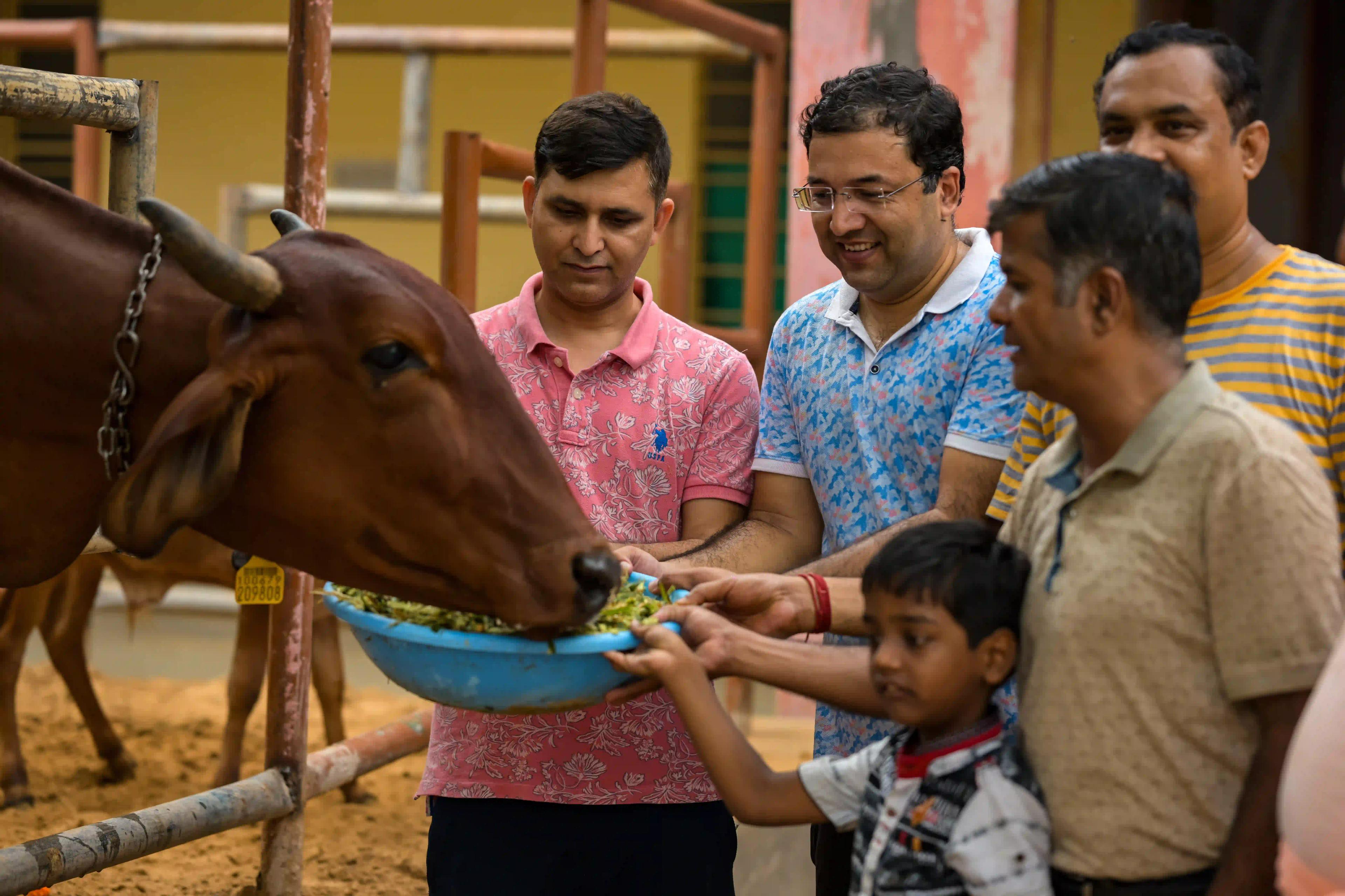 Gau Seva