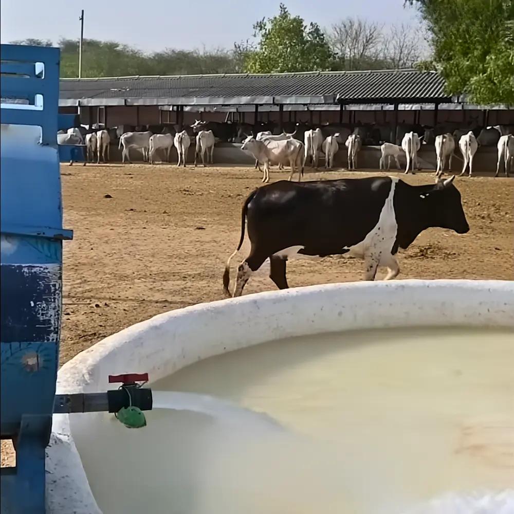 Drinking Water (1,000 Ltr Tank)