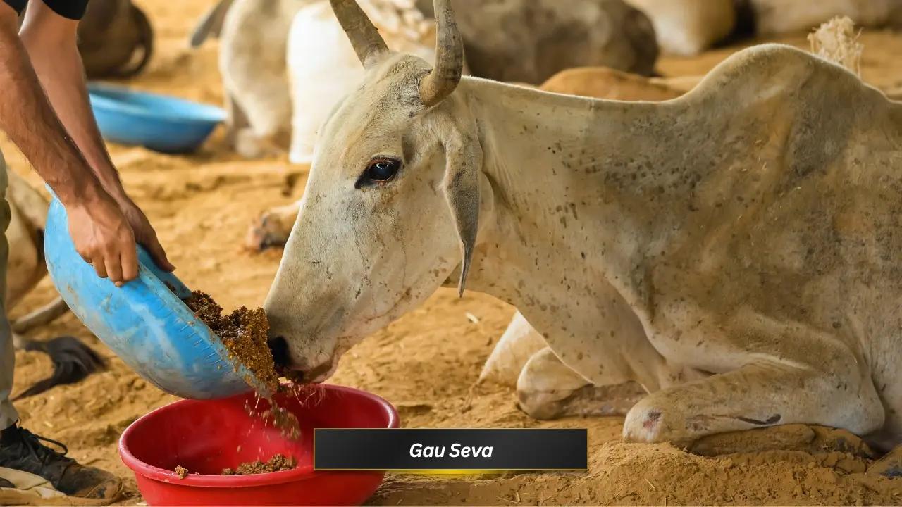 Gau Seva