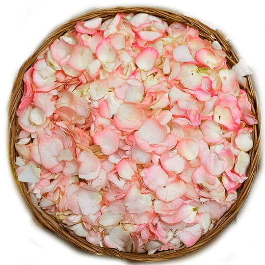 Flower Seva