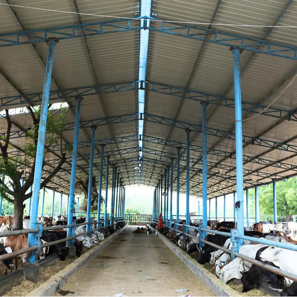 Shed Construction Seva