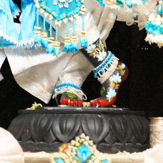 Aasan Seva