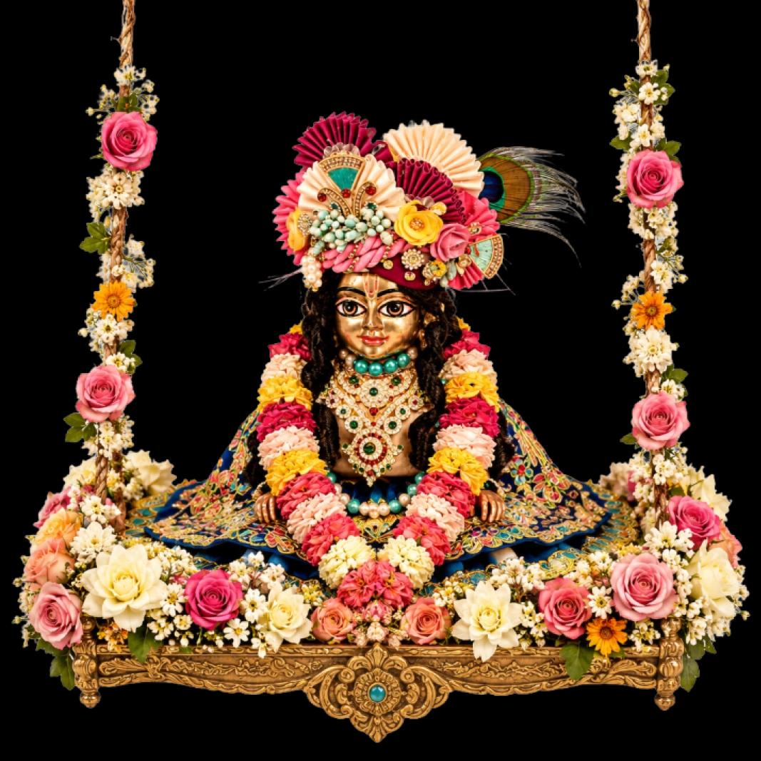 Jhulan Seva